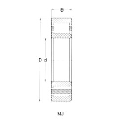 Bearing NJ305 CRAFT