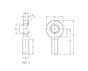 Bearing SAL15C SKF