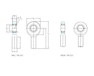 Bearing SAA60TXE-2LS SKF