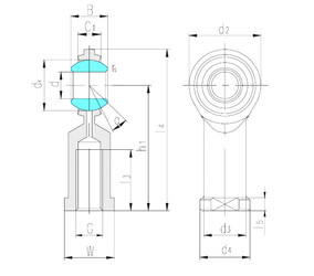 Bearing SIZJ9 LS