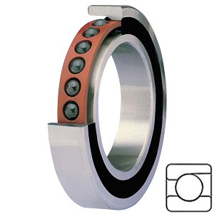 FAG BEARING C202HY8K3RC01 O-11 Precision Ball Bearings
