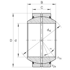 Bearing GE90-FO-2RS INA