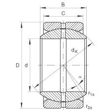Bearing GE76-ZO INA