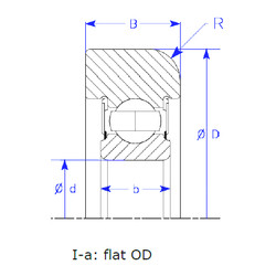 Bearing B25-166 QPSZM NSK