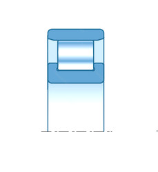 Bearing N313EG15 SNR