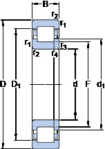Bearing NUP 313 ECP SKF
