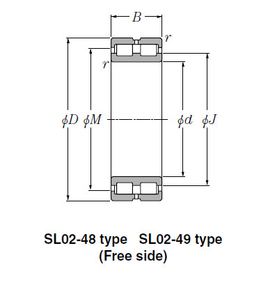 Bearing SL02-4844