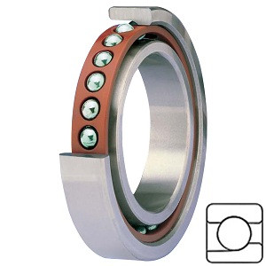 NTN BNT003/GNP2 Precision Ball Bearings