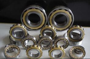 Rexroth hydraulic pump bearings F-40005-11