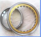 Rexroth hydraulic pump bearings F-218108.05.BSRA