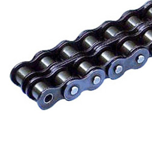 TSUBAKI RS10B-2R100 Roller Chains